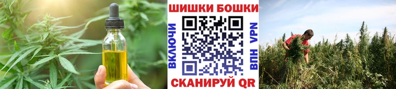 Купить закладки  Порхов  Canna-Cookies марихуана 