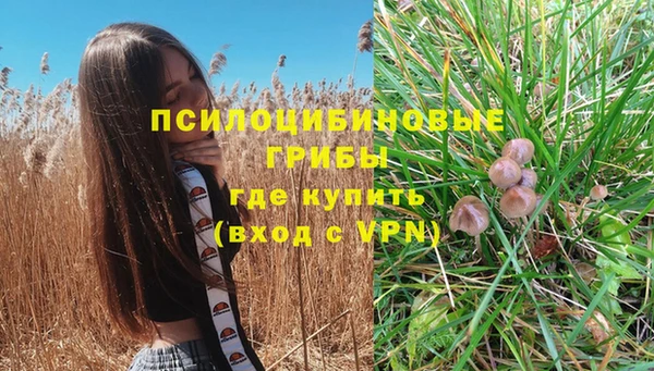 эйфоретик Касимов