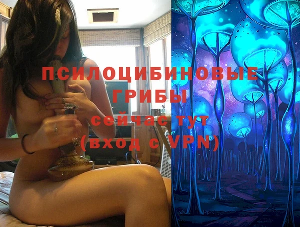 эйфоретик Касимов